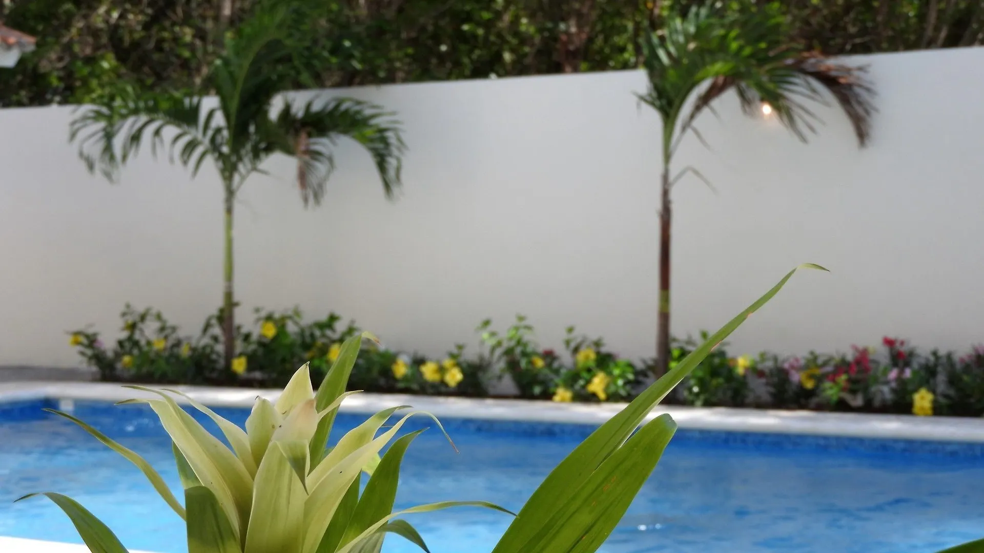 Playa Paraiso Home Boutique Playa del Carmen 0*,