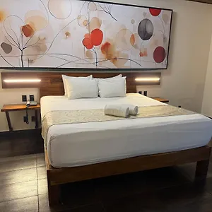 Kavia 5th Avenida (adults Only) Плая-дель-Кармен